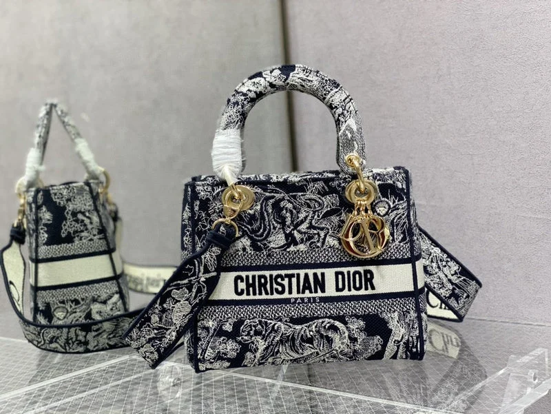 Luxury Christian Dior crossbody bags with a chain - link strapChristian Dior  Bags - 2669